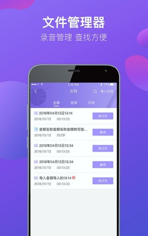 专业录音机截图1