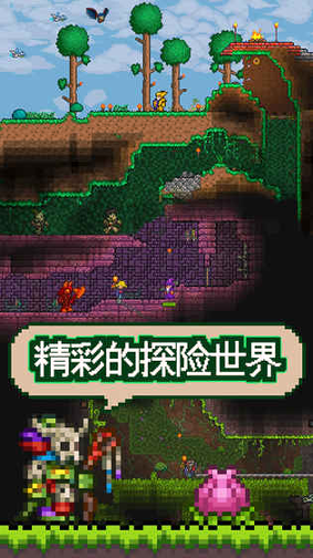 泰拉瑞亚手机版截图3