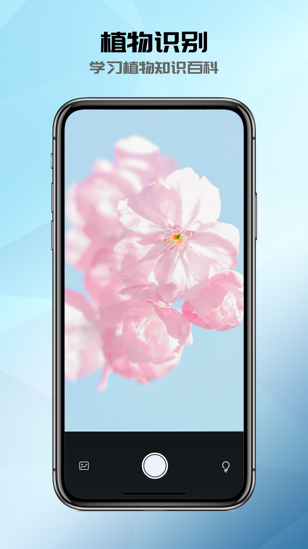 全能识别器截图1
