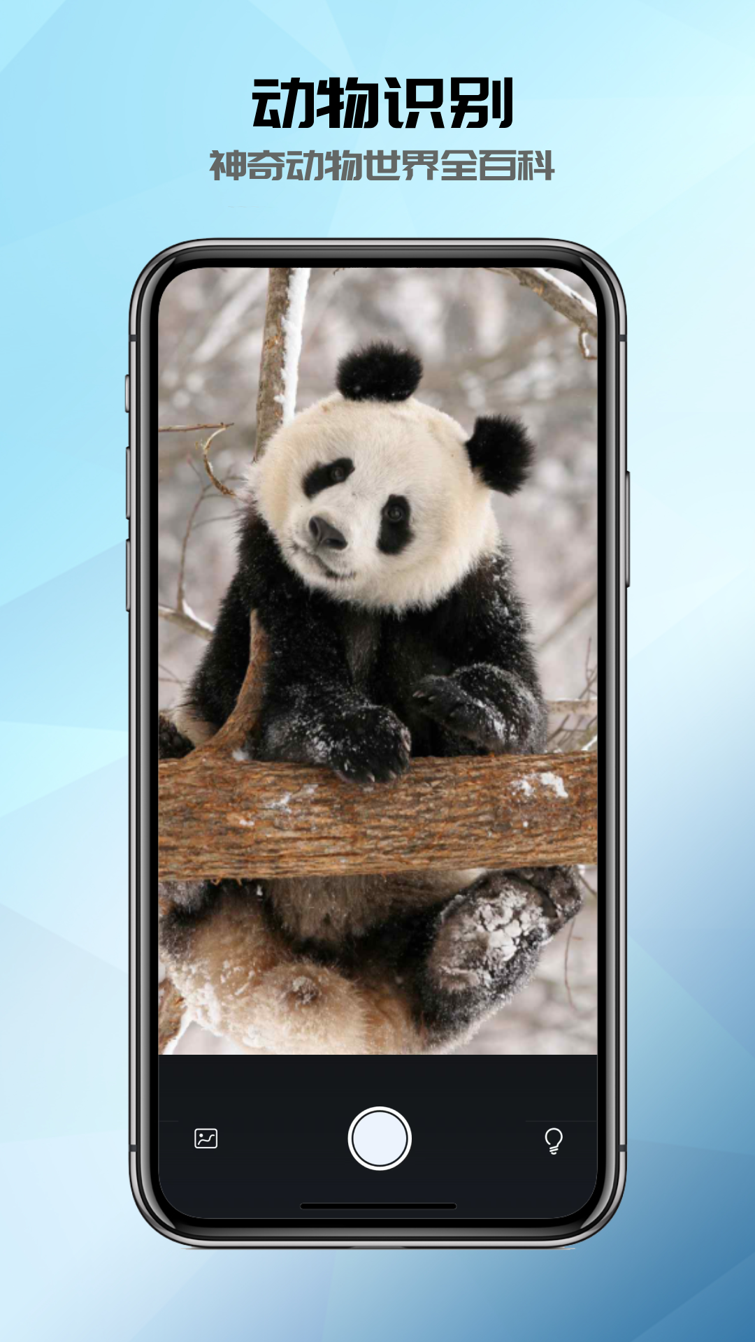 全能识别器截图2