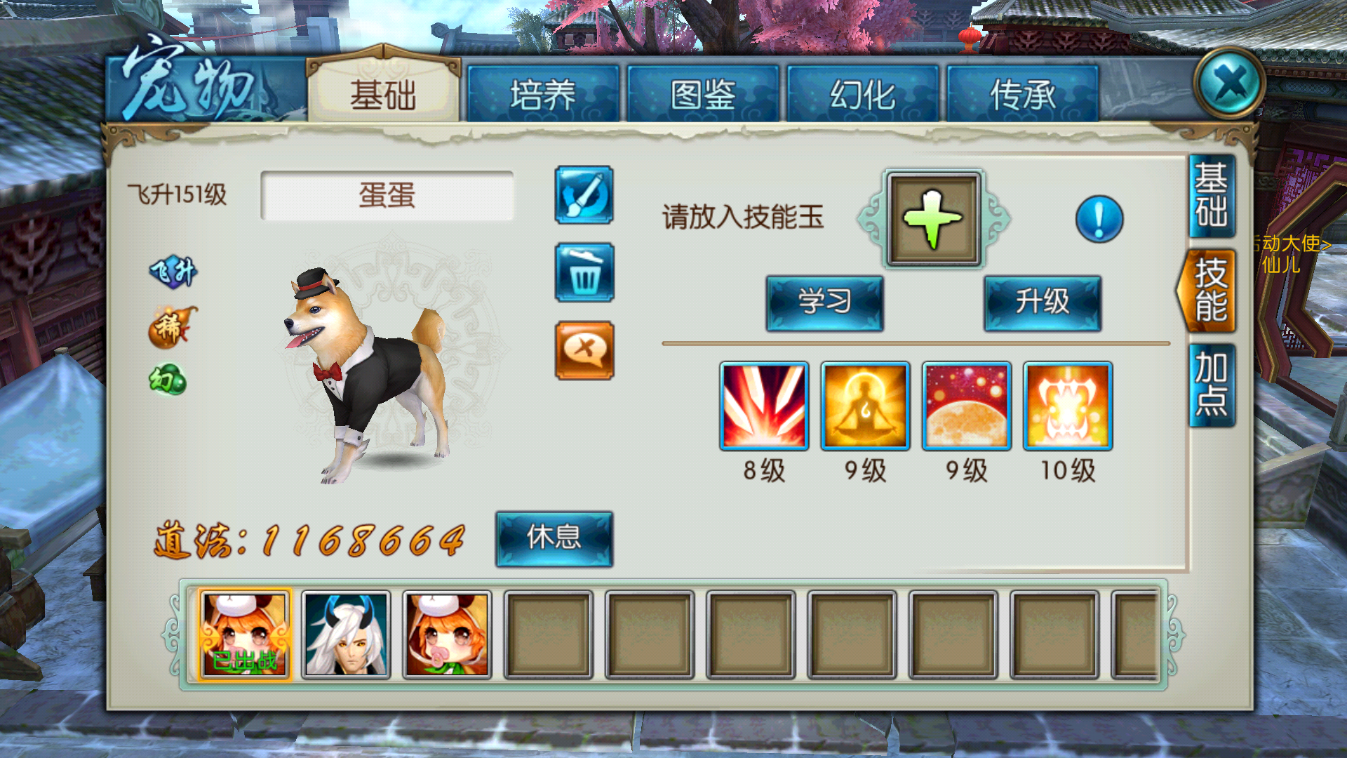 诛仙手游宠物怎样学4技能书
