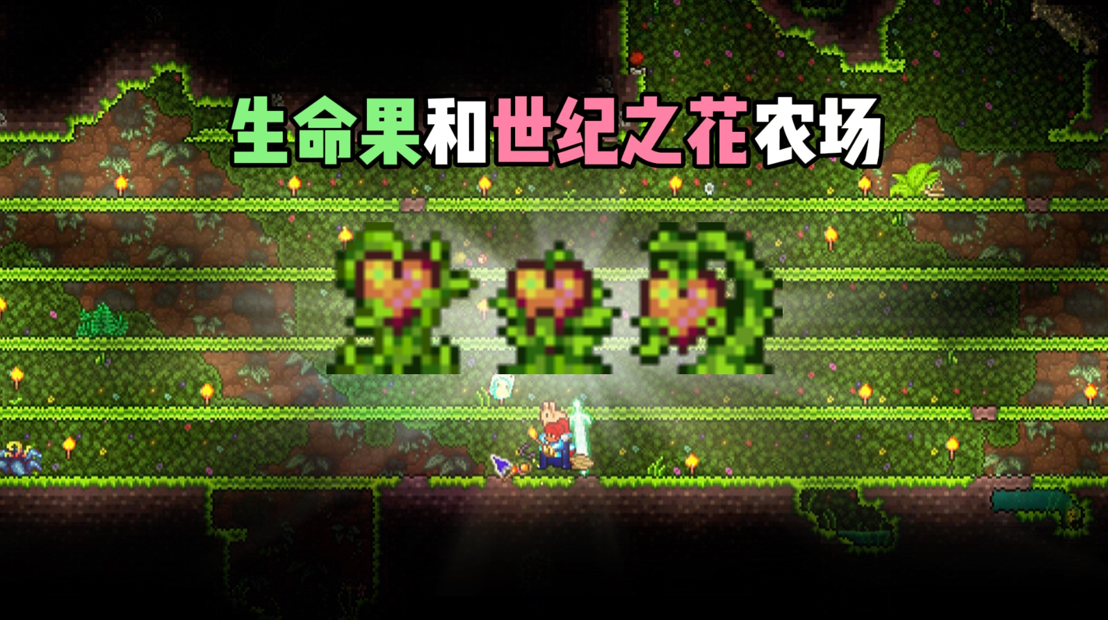 泰拉瑞亚丛林生命果怎么找