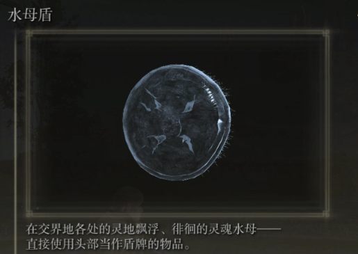 艾尔登法环法师加点推荐什么