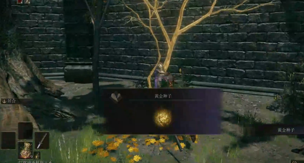 艾尔登法环全收集怎么做