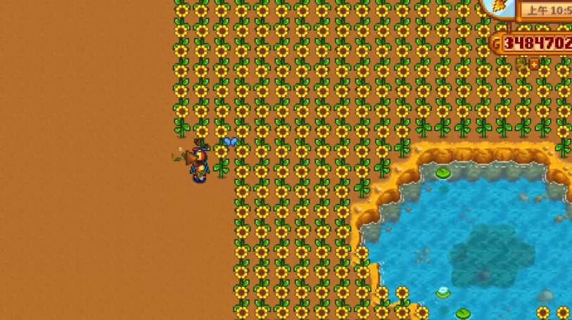 星露谷物语海莉两心任务选什么