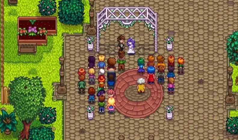 星露谷物语十星怎么结婚