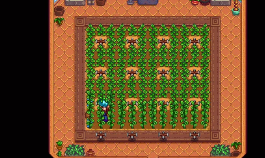 星露谷物语后期怎么赚钱