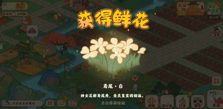 桃源深处有人家白色鸢尾在哪里