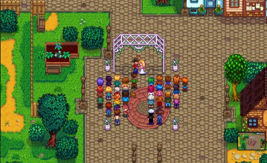 星露谷物语双人玩怎么结婚