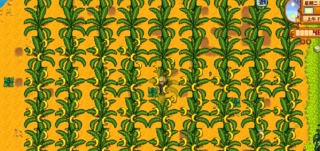 星露谷物语果树收益高吗