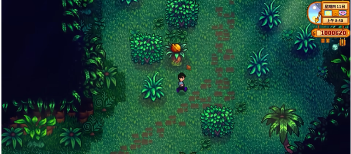 星露谷物语姜岛怎么赚钱